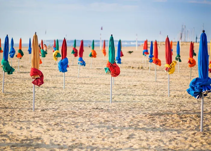 Apartament Le Petit Palais - 50m - Vue Et Campagne Tourgeville